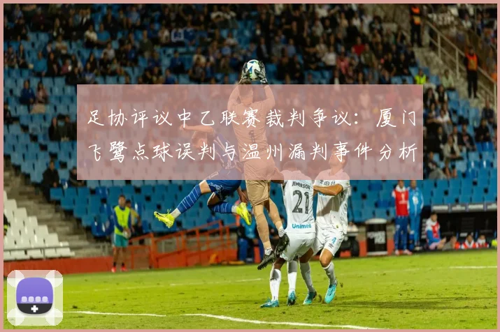 足协评议中乙联赛裁判争议：厦门飞鹭点球误判与温州漏判事件分析
